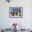 Los Zancudos, Stilt Dancers in Old Havana World Heritage Area, Cuba-Mark Hannaford-Framed Photographic Print displayed on a wall