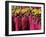 Losar, New Year Celebrations, Labrang Monastery, Gansu Province, China-Occidor Ltd-Framed Photographic Print