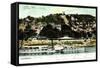 Loschwitz Elbe, Dampfer Leitmeritz, Bergbahn-null-Framed Stretched Canvas