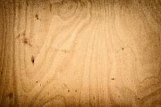 Old Wood Texture, Background, Board-Loskutnikov Maxim-Photographic Print