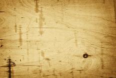 Old Wood Texture, Background, Board-Loskutnikov Maxim-Photographic Print