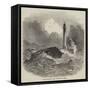 Loss of the Brig Vine, of Bristol, at Whitby-null-Framed Stretched Canvas