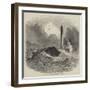 Loss of the Brig Vine, of Bristol, at Whitby-null-Framed Giclee Print