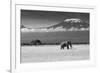 Lost Colors II-Ibrahim Canakci-Framed Photographic Print