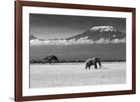 Lost Colors II-Ibrahim Canakci-Framed Photographic Print