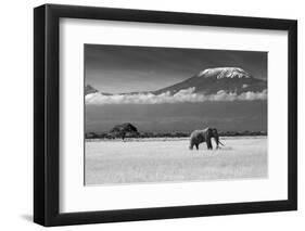 Lost Colors II-Ibrahim Canakci-Framed Photographic Print