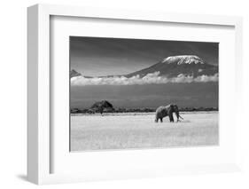 Lost Colors II-Ibrahim Canakci-Framed Photographic Print