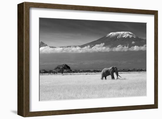Lost Colors II-Ibrahim Canakci-Framed Photographic Print