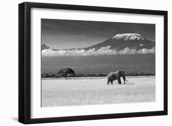 Lost Colors II-Ibrahim Canakci-Framed Photographic Print