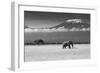 Lost Colors II-Ibrahim Canakci-Framed Photographic Print