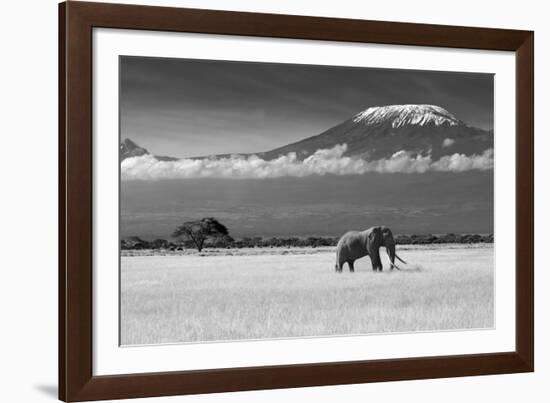 Lost Colors II-Ibrahim Canakci-Framed Photographic Print