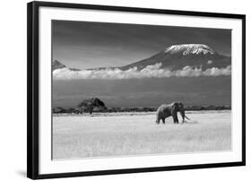 Lost Colors II-Ibrahim Canakci-Framed Photographic Print