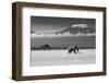 Lost Colors II-Ibrahim Canakci-Framed Premium Photographic Print