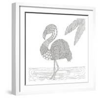 Lost Flamingo-Pam Varacek-Framed Art Print