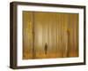 Lost in Autumn-Lydia Jacobs-Framed Photographic Print