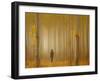 Lost in Autumn-Lydia Jacobs-Framed Photographic Print