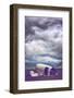 Lost in Iceland, 1970s DC10 Airplane on Southern Iceland Beach-Vincent James-Framed Photographic Print