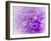 Lost in Pink and Purple-Dorothy Berry-Lound-Framed Giclee Print