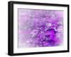 Lost in Pink and Purple-Dorothy Berry-Lound-Framed Giclee Print