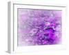 Lost in Pink and Purple-Dorothy Berry-Lound-Framed Giclee Print