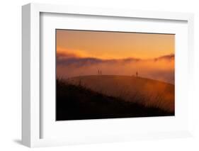 Lost in Sun, Dreamy Fpog and Sunset Light, San Francisco Bay Area-Vincent James-Framed Photographic Print