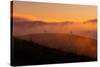 Lost in Sun, Dreamy Fpog and Sunset Light, San Francisco Bay Area-Vincent James-Stretched Canvas