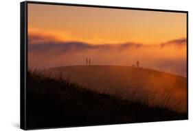 Lost in Sun, Dreamy Fpog and Sunset Light, San Francisco Bay Area-Vincent James-Framed Stretched Canvas