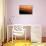 Lost in Sun, Dreamy Fpog and Sunset Light, San Francisco Bay Area-Vincent James-Photographic Print displayed on a wall