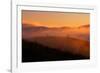 Lost in Sun, Dreamy Fpog and Sunset Light, San Francisco Bay Area-Vincent James-Framed Photographic Print