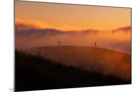 Lost in Sun, Dreamy Fpog and Sunset Light, San Francisco Bay Area-Vincent James-Mounted Photographic Print