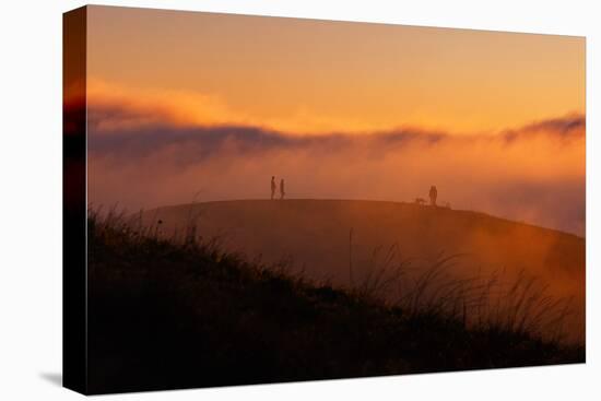 Lost in Sun, Dreamy Fpog and Sunset Light, San Francisco Bay Area-Vincent James-Stretched Canvas