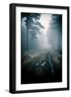 Lost in the Forest-David Baker-Framed Photographic Print