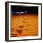 Lost in the Golden Sand-Mark James Gaylard-Framed Photographic Print