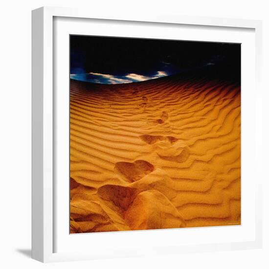 Lost in the Golden Sand-Mark James Gaylard-Framed Photographic Print