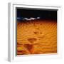 Lost in the Golden Sand-Mark James Gaylard-Framed Photographic Print