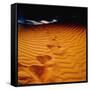 Lost in the Golden Sand-Mark James Gaylard-Framed Stretched Canvas