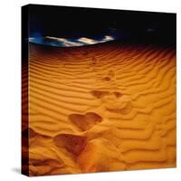 Lost in the Golden Sand-Mark James Gaylard-Stretched Canvas