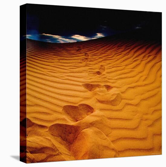 Lost in the Golden Sand-Mark James Gaylard-Stretched Canvas
