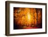 Lost in the Yellow Forest-Philippe Saint-Laudy-Framed Photographic Print