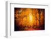 Lost in the Yellow Forest-Philippe Saint-Laudy-Framed Photographic Print