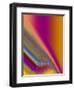 Lost In Translation-Ruth Palmer-Framed Art Print