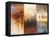 Lost in Trees I-Michael Marcon-Framed Stretched Canvas