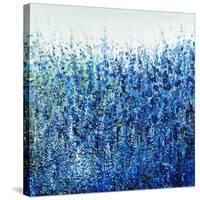 Lost in Wildflowers-Tim O'toole-Stretched Canvas