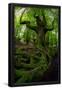 Essential Black