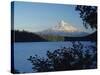 Lost Lake and Mount Hood-James Randklev-Stretched Canvas