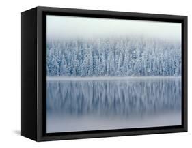 Lost Lake and Snow-Covered Douglas Firs-Steve Terrill-Framed Stretched Canvas
