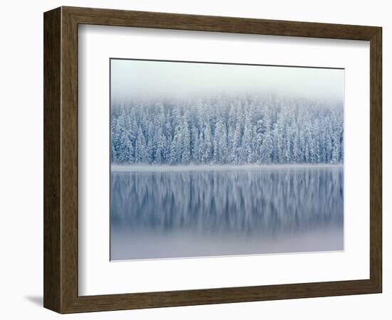 Lost Lake and Snow-Covered Douglas Firs-Steve Terrill-Framed Photographic Print