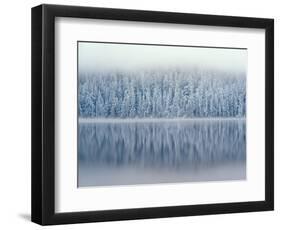 Lost Lake and Snow-Covered Douglas Firs-Steve Terrill-Framed Photographic Print