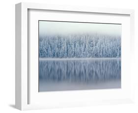 Lost Lake and Snow-Covered Douglas Firs-Steve Terrill-Framed Photographic Print