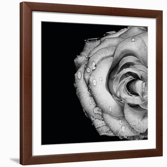 Lost Love-Donnie Quillen-Framed Art Print